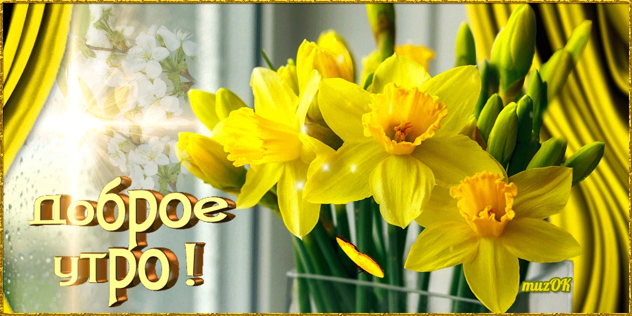 Хостинг картинок yapx.ru