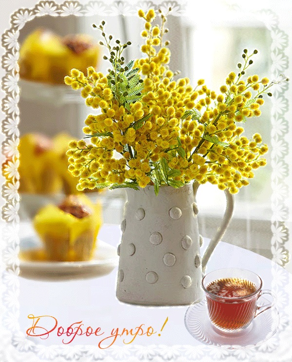 Хостинг картинок yapx.ru