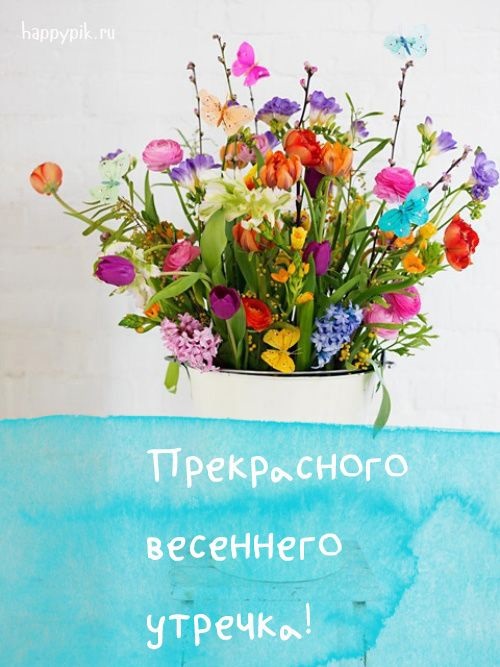 Хостинг картинок yapx.ru