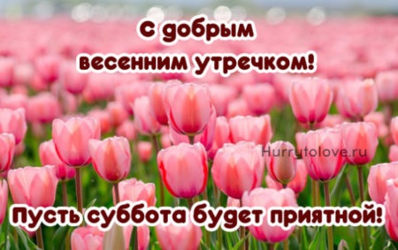 Хостинг картинок yapx.ru