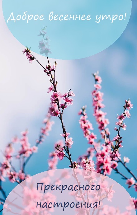 Хостинг картинок yapx.ru