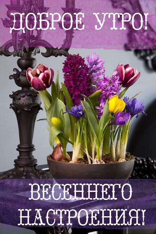 Хостинг картинок yapx.ru