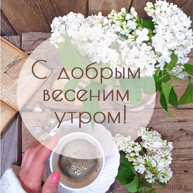 Хостинг картинок yapx.ru