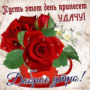 Хостинг картинок yapx.ru