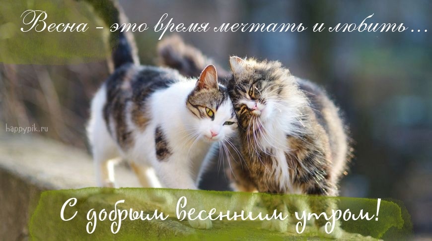 Хостинг картинок yapx.ru