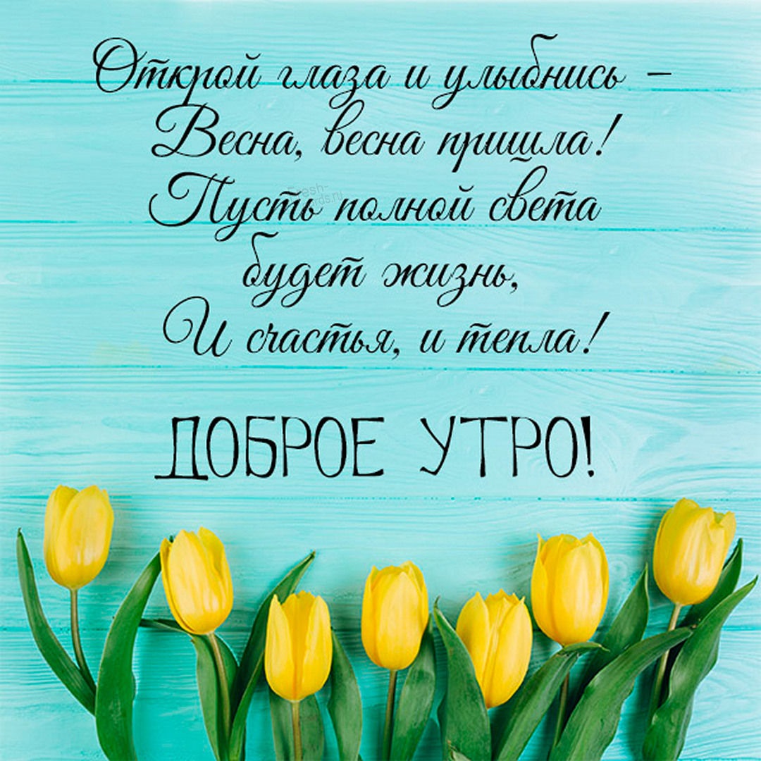 Хостинг картинок yapx.ru