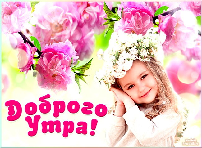 Хостинг картинок yapx.ru