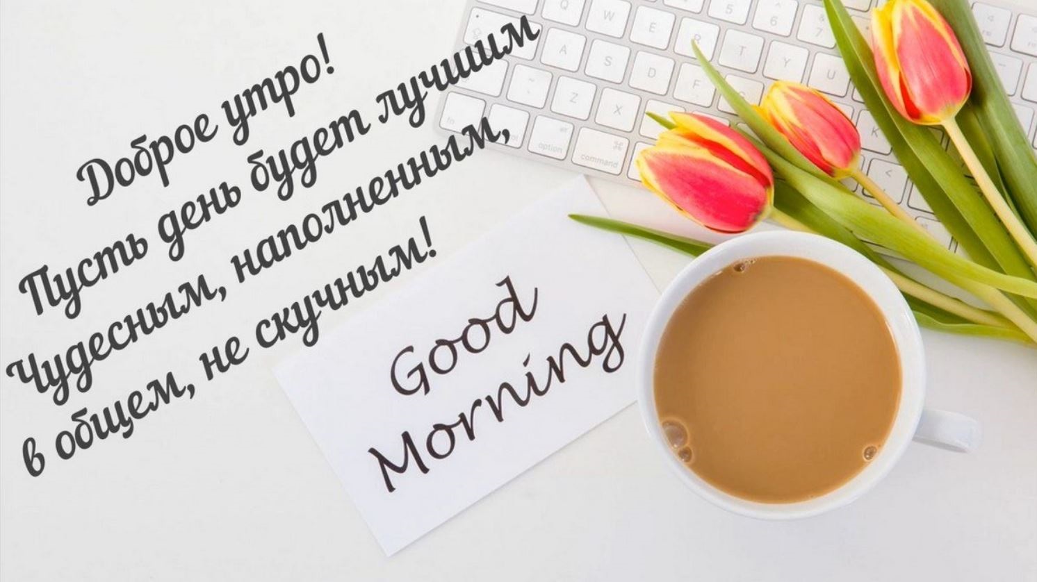 Хостинг картинок yapx.ru