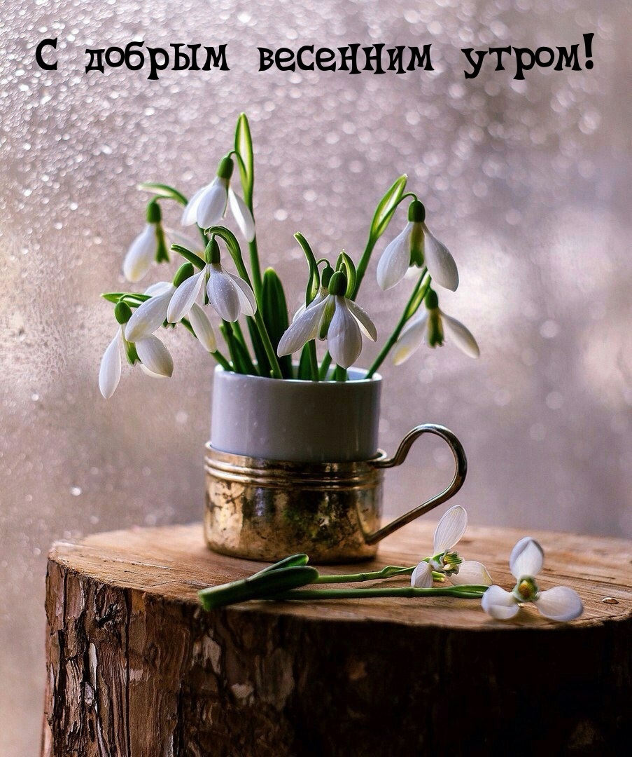 Хостинг картинок yapx.ru