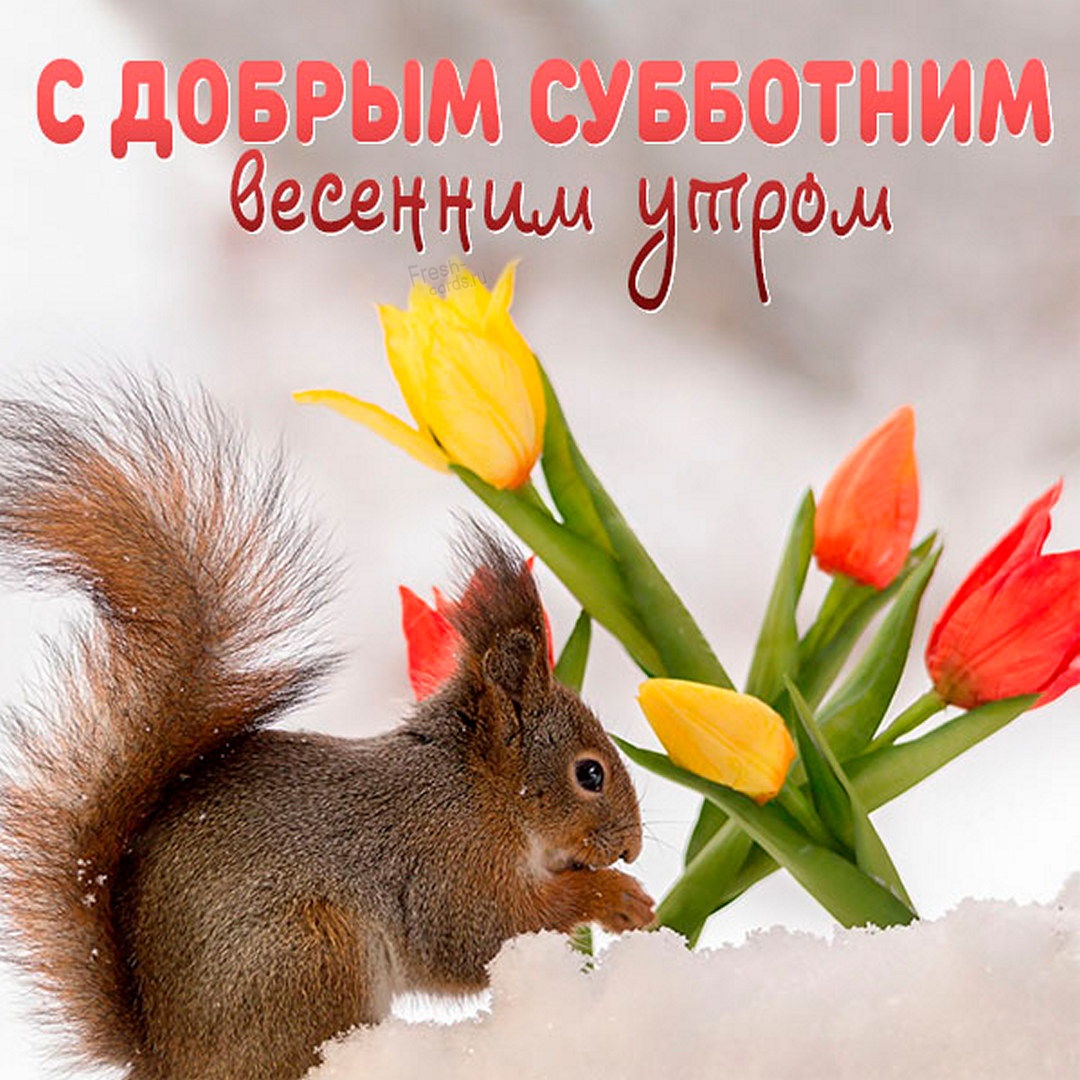 Хостинг картинок yapx.ru