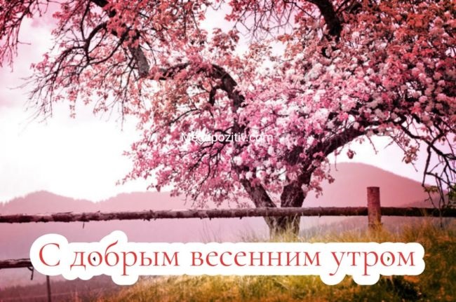 Хостинг картинок yapx.ru