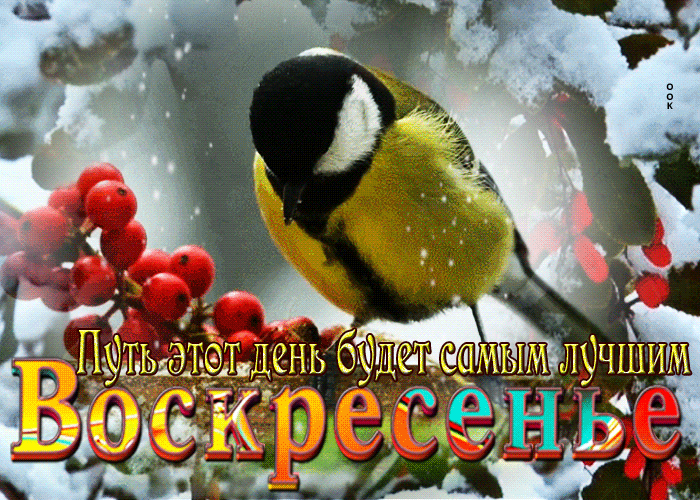 Открытка воскресенье, пусть этот день будет самым лучшим Открытка воскресенье, пусть этот день будет самым лучшим