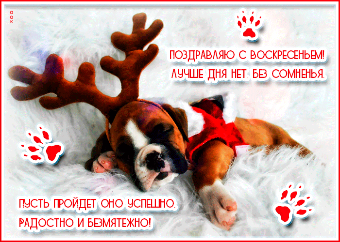 Зимняя Открытка поздравляю с воскресеньем Зимняя Открытка поздравляю с воскресеньем