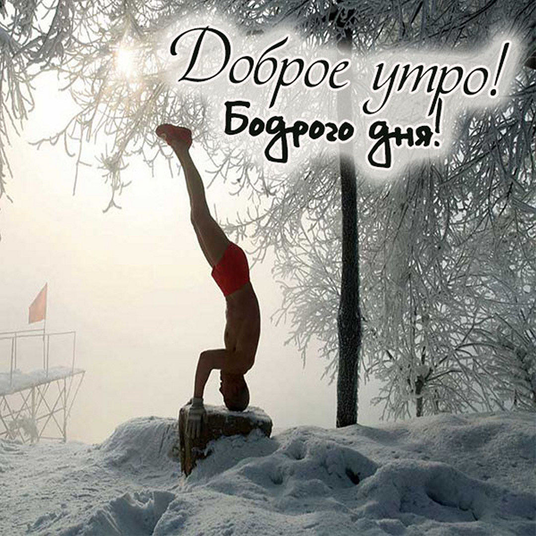 Картинка доброе утро зимы прикольная. Картинка доброе утро зимы прикольная.