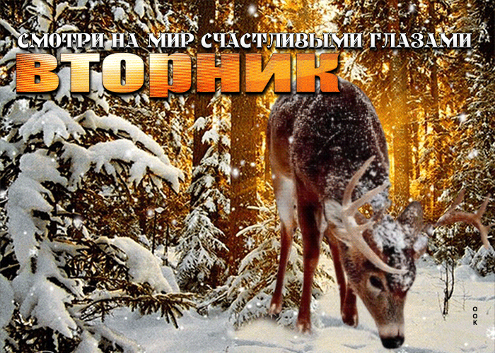Зимняя gif картинка вторник, смотри на мир счастливыми глазами Зимняя gif картинка вторник, смотри на мир счастливыми глазами