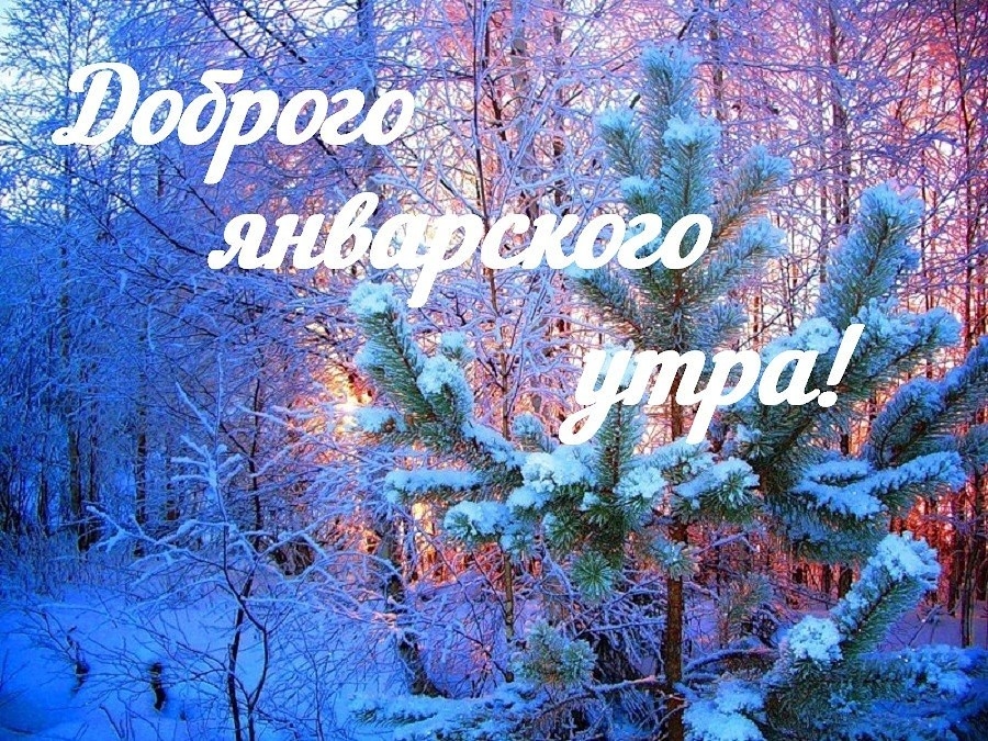 С добрым морозным январским утром красивая бесплатная открытка