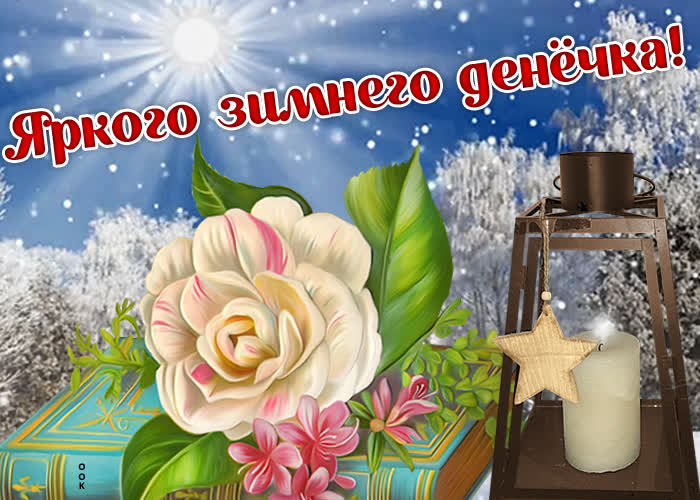 Картинка яркого зимнего денечка с розой Картинка яркого зимнего денечка с розой