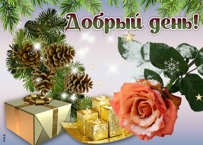 Картинка добрый день с зимой Картинка добрый день с зимой