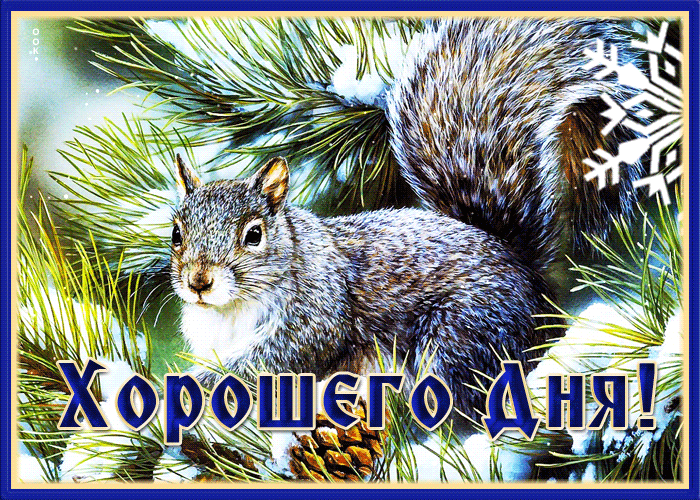 Потрясающая открытка хорошего дня с красивой белочкой Потрясающая открытка хорошего дня с красивой белочкой