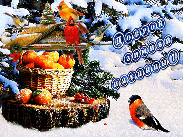 Прикольные пожелания Доброй зимней пятницы в картинках!