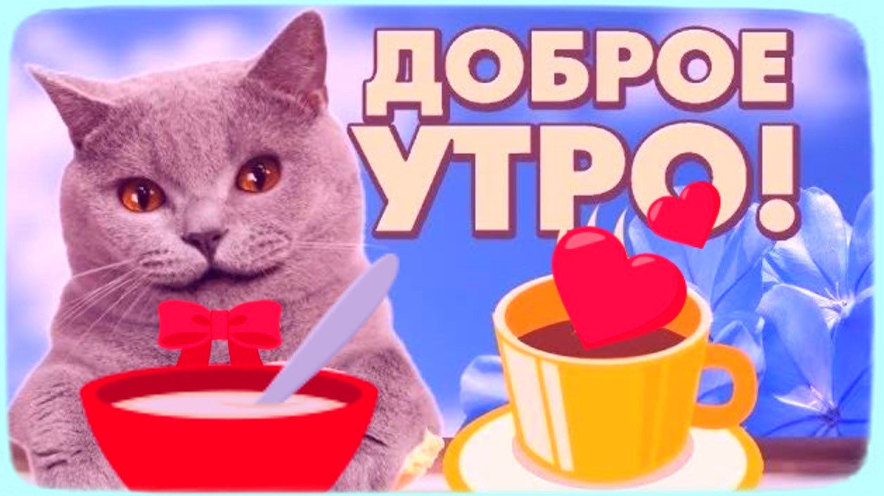 С добрым утром и хорошим днём прикольные и смешные С добрым утром и хорошим днём прикольные и смешные