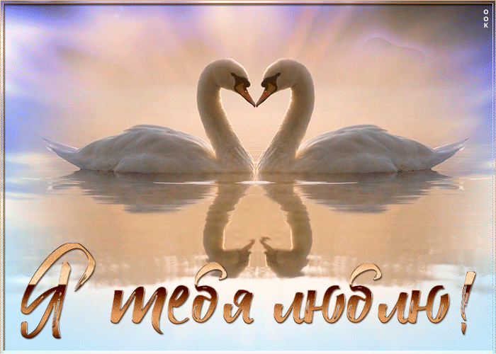 Трогательная картинка любимой жене, любовь навеки! Трогательная картинка любимой жене, любовь навеки!