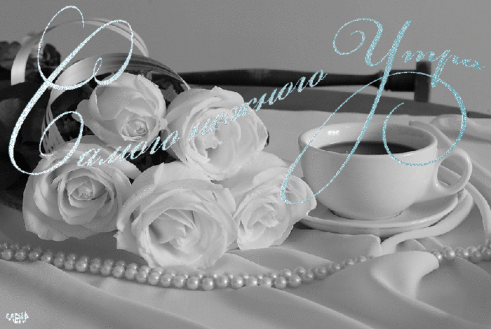 Красивые мерцающие картинки с добрым утром с белыми розами Красивые мерцающие картинки с добрым утром с белыми розами