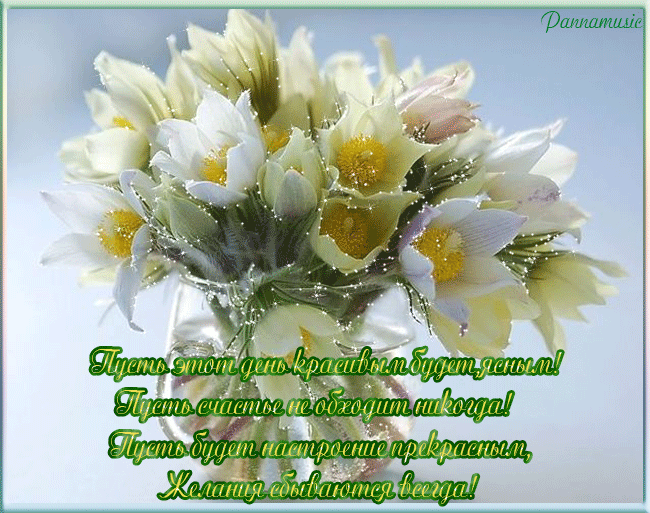 Открытки / цветы, утро, солнце, настроение, гарно, день, пожелание, Цветы весенние с добрыми пожеланиями Открытки / цветы, утро, солнце, настроение, гарно, день, пожелание, Цветы весенние с добрыми пожеланиями