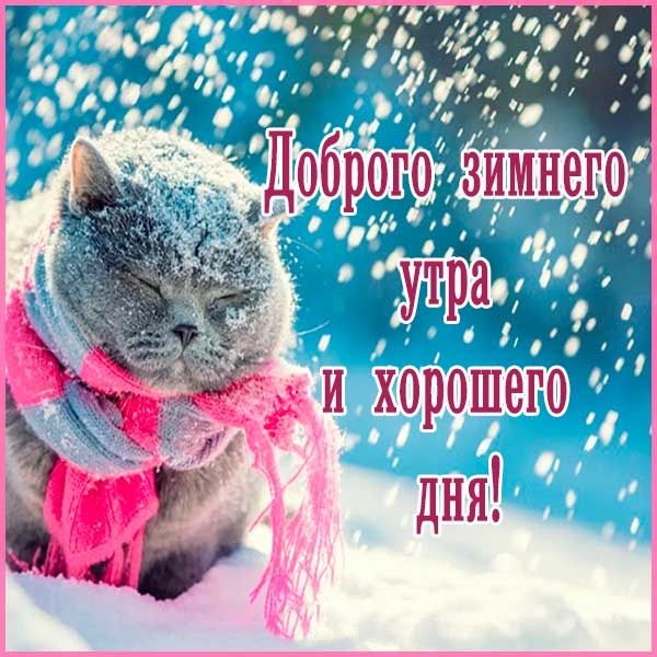 Зимнее утро картинки красивые с надписями. Доброе зимнее утро с котиками Зимнее утро картинки красивые с надписями. Доброе зимнее утро с котиками