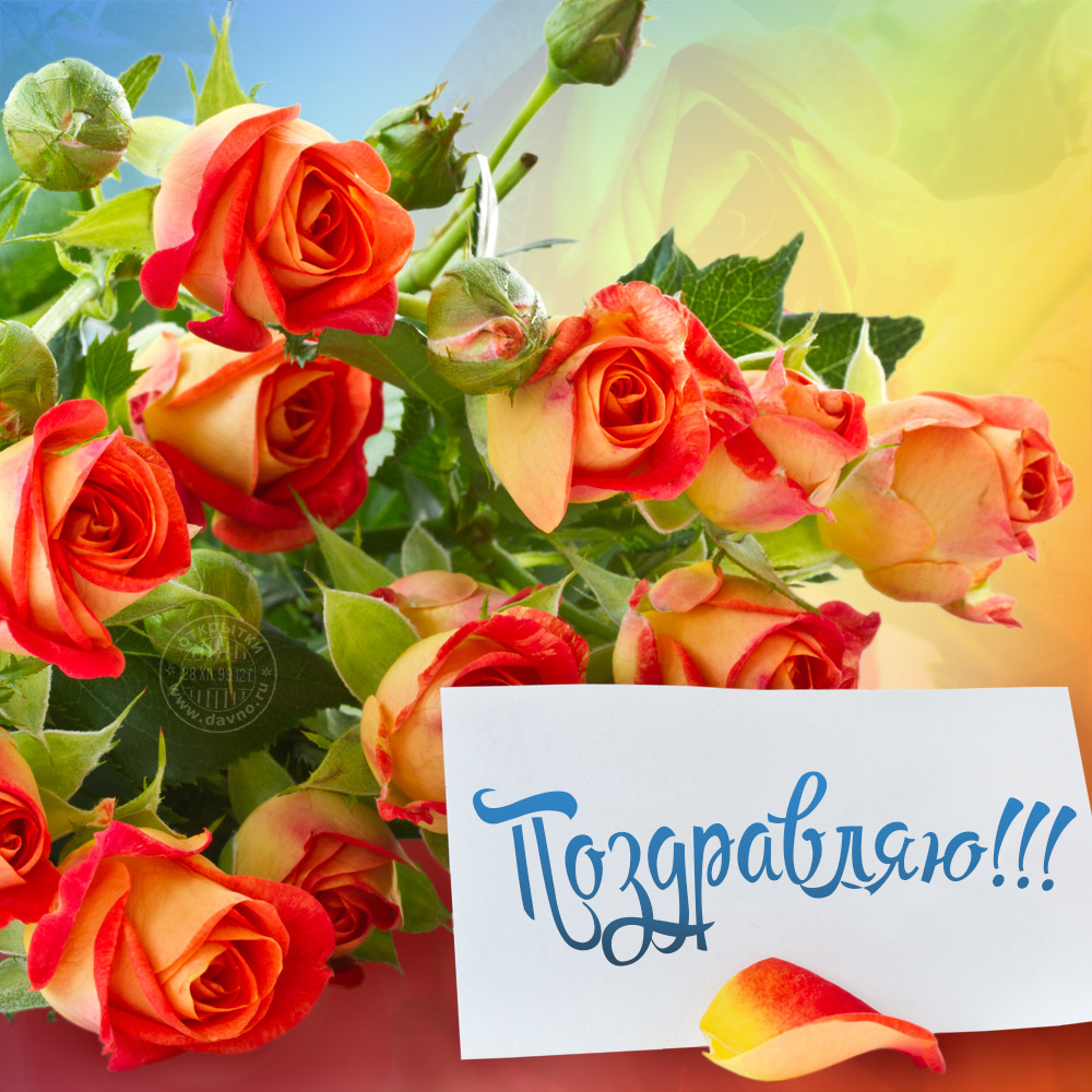 Поздравление с Днем Рождения фон для открытки