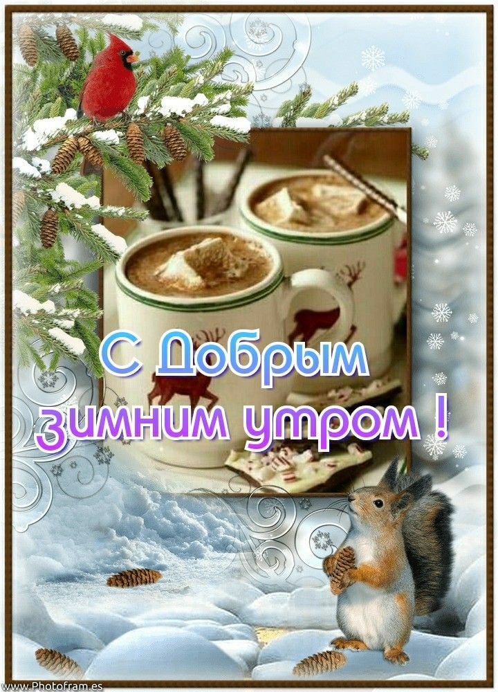 Доброе февральское утро прикольные картинки и открытки