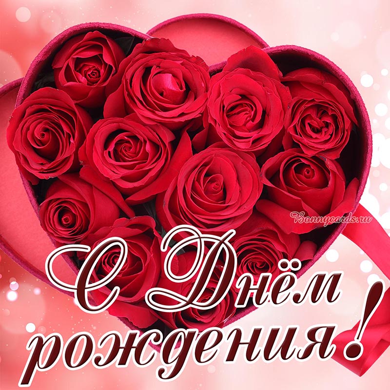 Женская открытка с Днём рождения с красными розами.