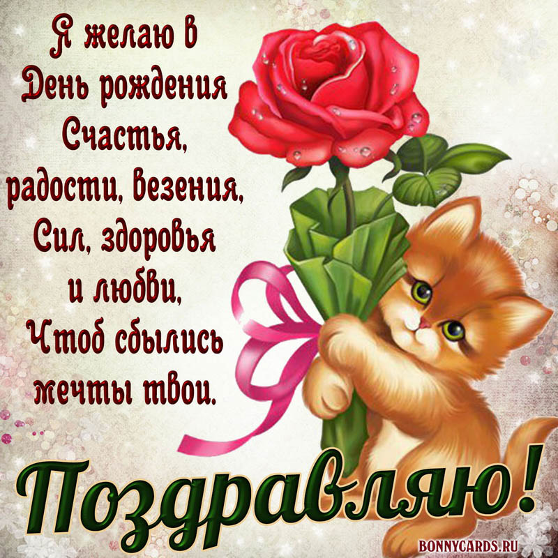 Открытка с котёнком и розочкой женщине на День рождения.