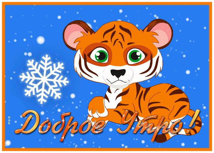 Прекрасная открытка доброе утро с тигренком 2022 Прекрасная открытка доброе утро с тигренком 2022