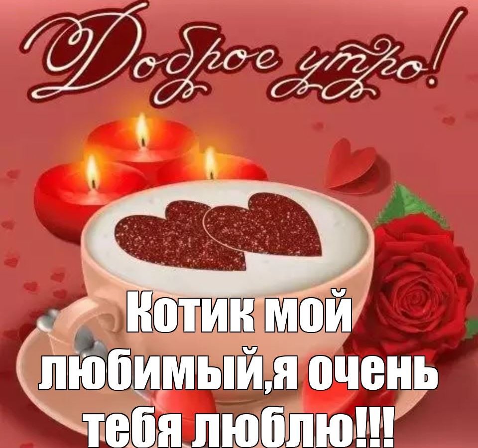 Открытки с добрым утром любимый котик с пожеланиями в прозе! Открытки с добрым утром любимый котик с пожеланиями в прозе!