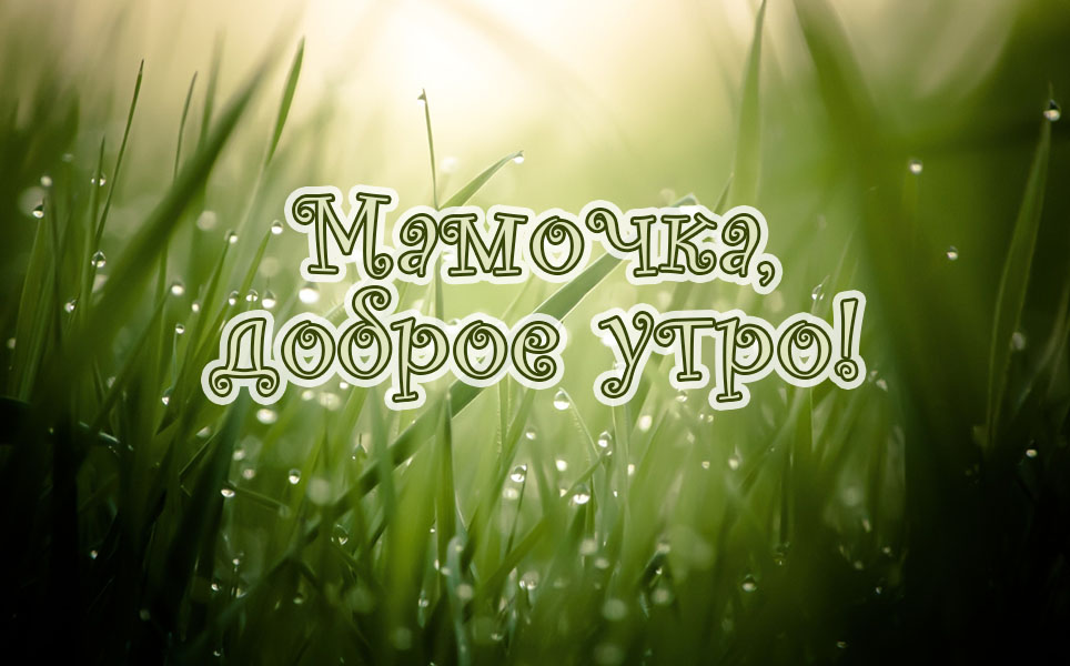 Очень красивая картинка Мамочка, с добрым утром тебя! Очень красивая картинка Мамочка, с добрым утром тебя!