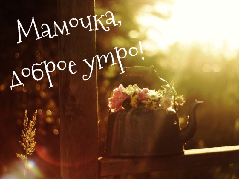 Открытки с добрым утром маме Открытки с добрым утром маме