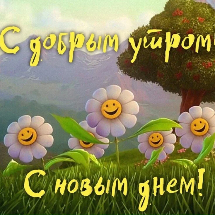 С добрым утром, с новым днем. Пожелания с добрым утром прикольные в картинках! С добрым утром, с новым днем. Пожелания с добрым утром прикольные в картинках!