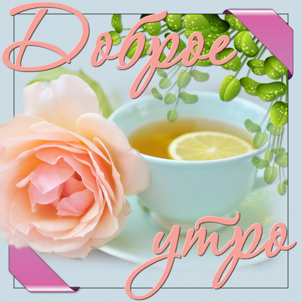 Картинки "С добрым утром и хорошего дня" Картинки "С добрым утром и хорошего дня"