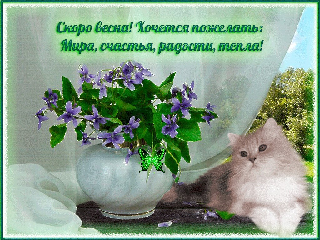 Открытки с наступающей весной с красивыми пожеланиями в прозе, своими словами! Открытки с наступающей весной с красивыми пожеланиями в прозе, своими словами!