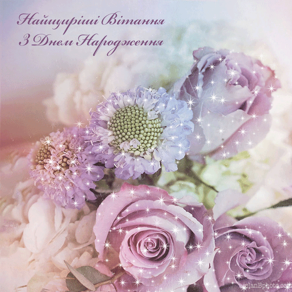 Пастельно-фіолетові троянди до дня народження - Анімація GIF. Унікальні пастельно-фіолетові троянди в букеті до дня народження. Красиве привітання на день народження з квітами та блискітками.