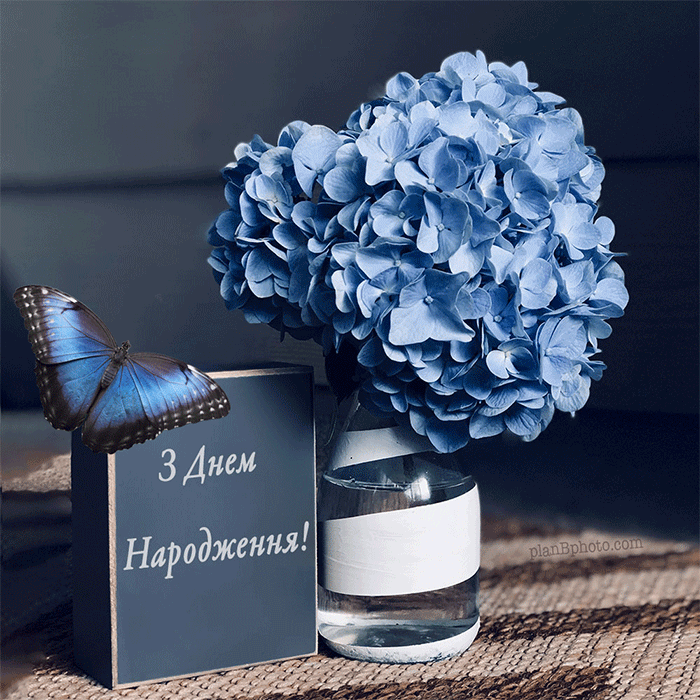 Неймовірно красива анімація з метеликом. З Днем Народження. Анімація GIF – метелик відкриває крила. Ви можете абсолютно безкоштовно завантажити цю анімацію на сайті. А також інші листівки до дня народження з квітами та привітаннями на українській мові.