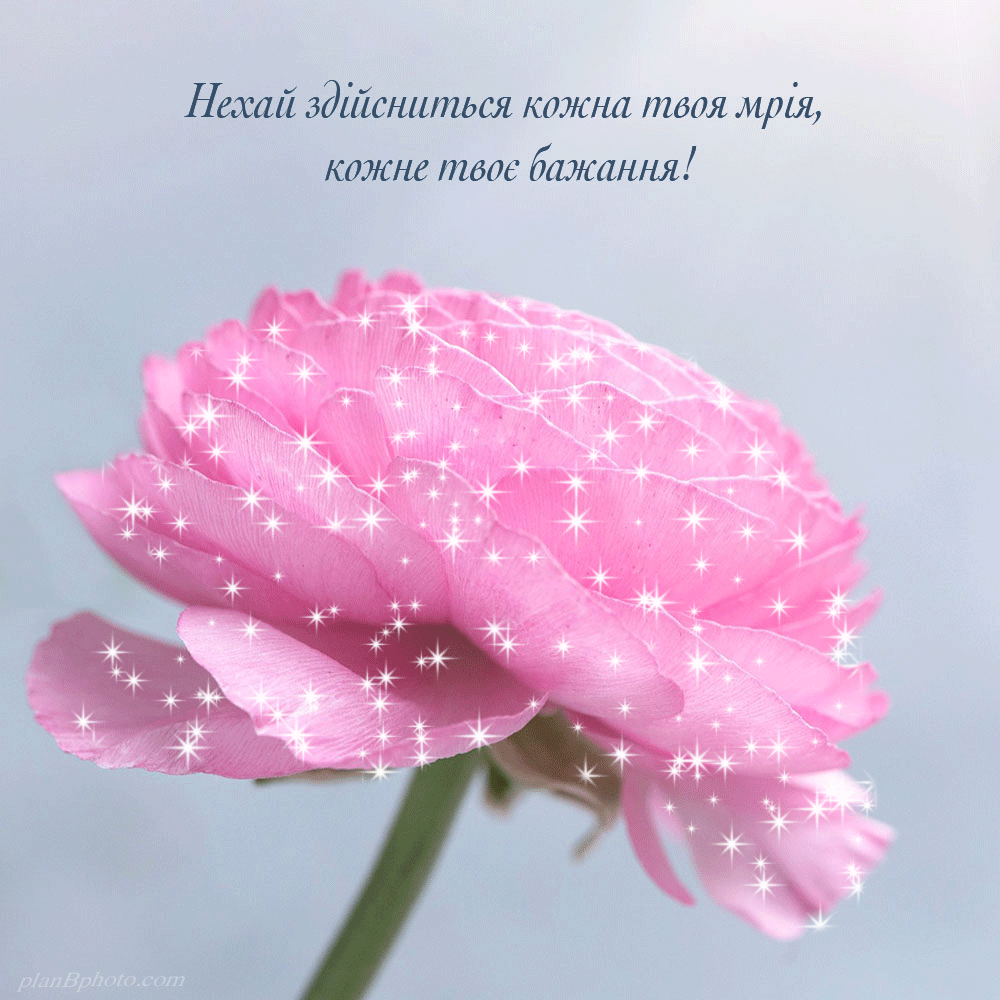 Анімація до дня народження з блискітками