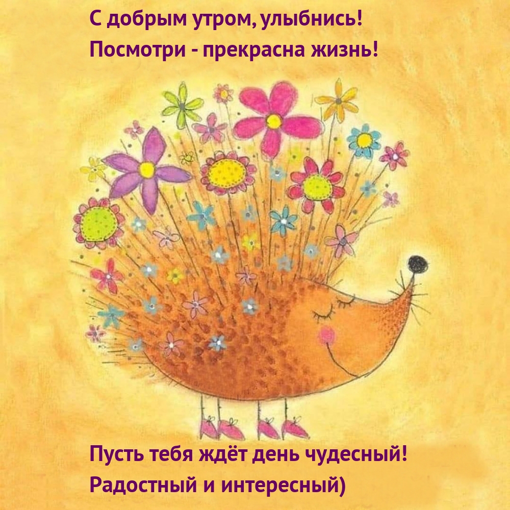Позитивные открытки Доброе утро хорошего дня прикольные Позитивные открытки Доброе утро хорошего дня прикольные