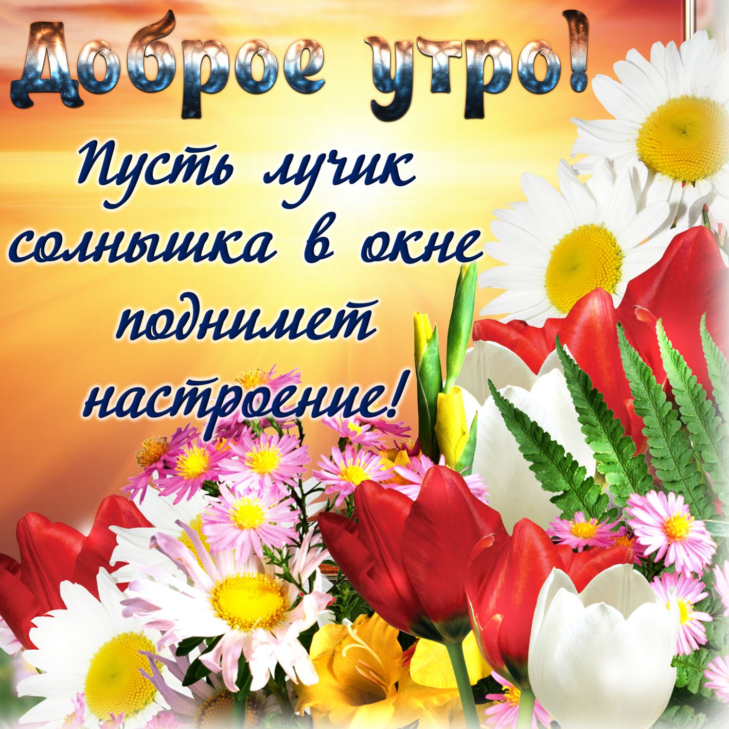Красивые открытки, картинки с добрым утром. Позитивные открытки с добрым утром Красивые открытки, картинки с добрым утром. Позитивные открытки с добрым утром