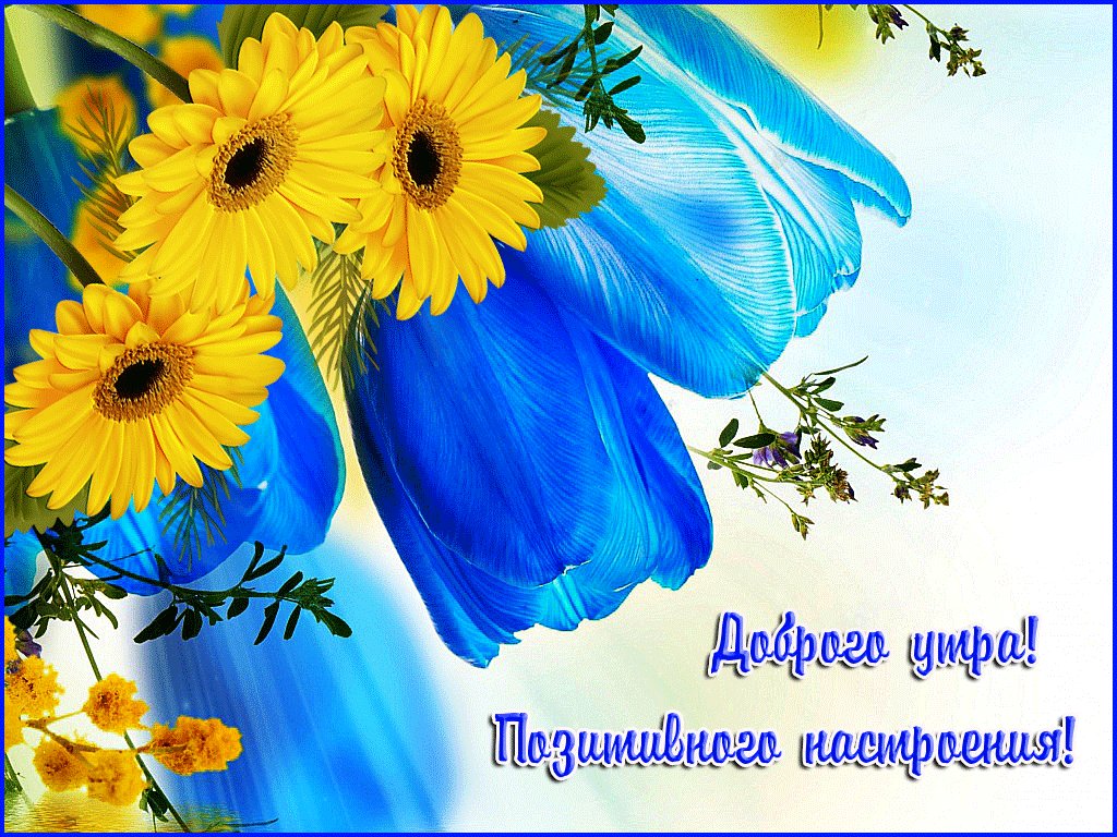 Картинки с пожеланием Светлого дня и хорошего настроения Картинки с пожеланием Светлого дня и хорошего настроения