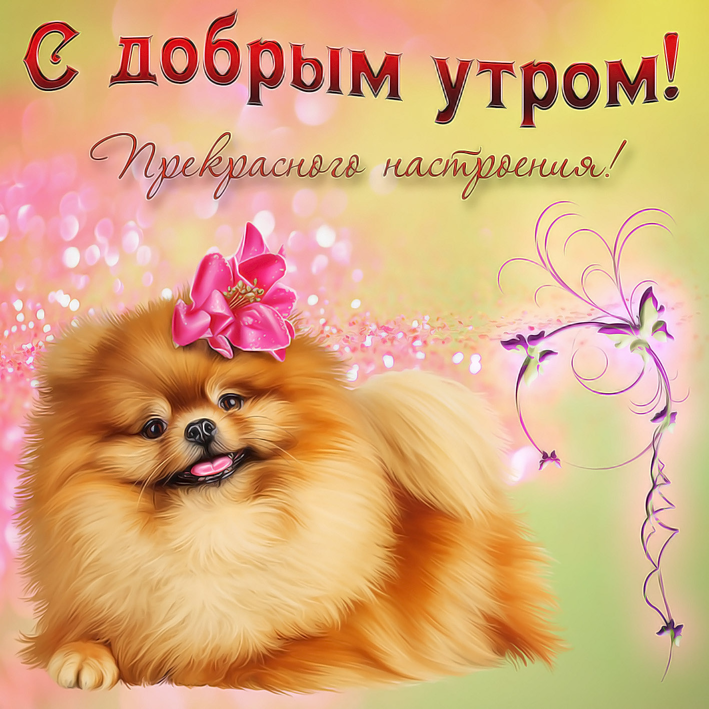 Открытки с пожеланием доброго утра и прекрасного настроения на весь день! Открытки с пожеланием доброго утра и прекрасного настроения на весь день!