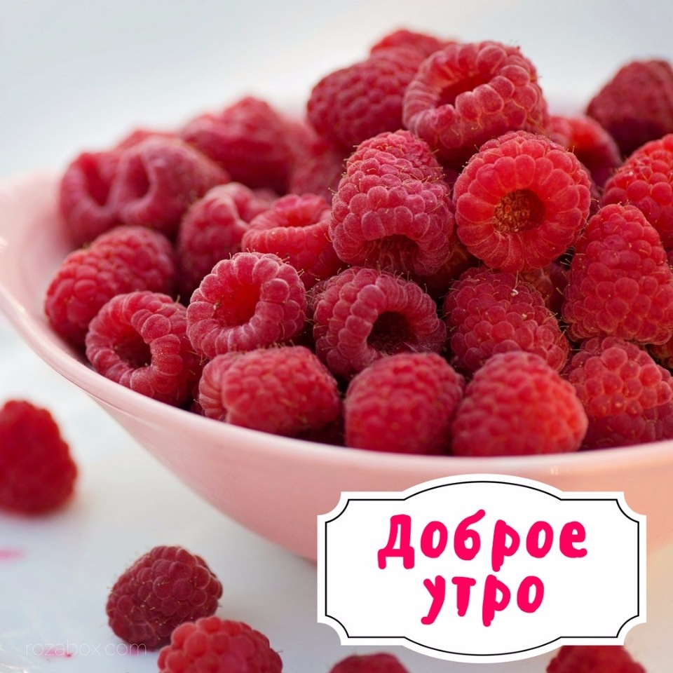 Доброе утро Малиновое настроение Доброе утро Малиновое настроение
