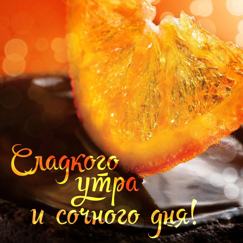 Красивые картинки на телефон с добрым утром - подборка. Необычные пожелания с добрым утром Красивые картинки на телефон с добрым утром - подборка. Необычные пожелания с добрым утром