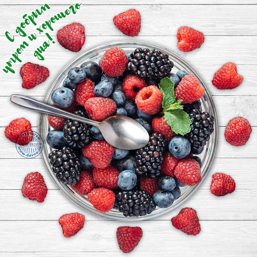 Позитивные картинки про доброе утро и хорошего настроения на весь день. Позитивные картинки про доброе утро и хорошего настроения на весь день.